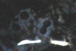 youhen26a.gif